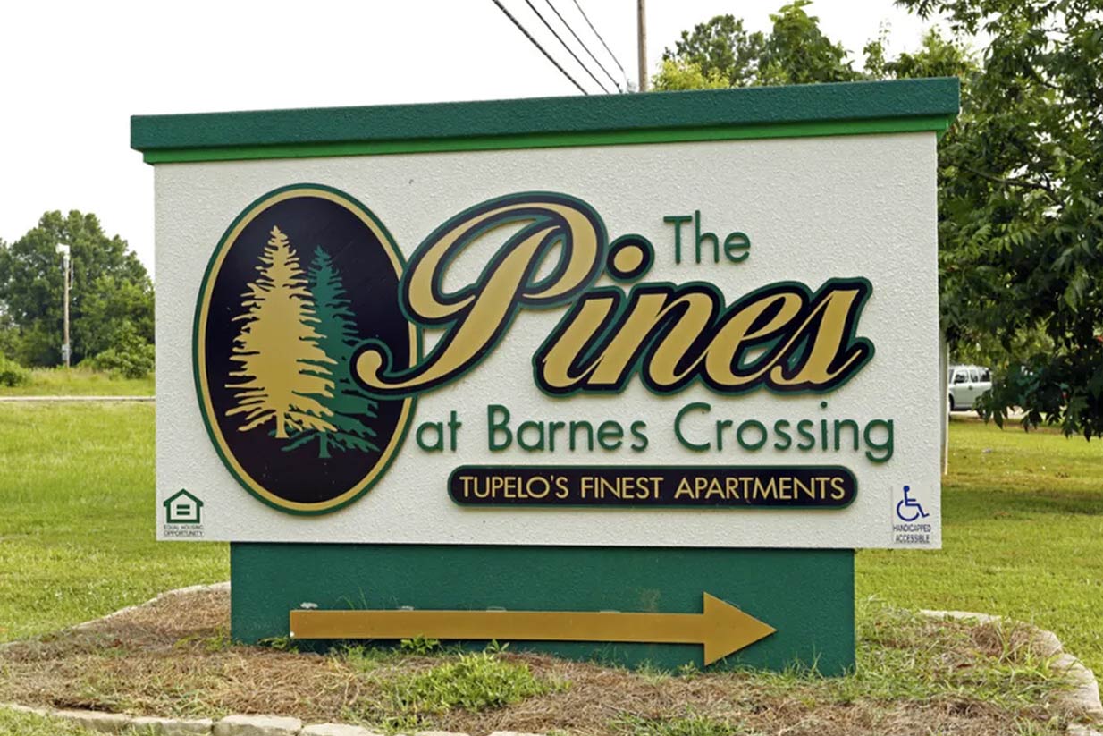 The Pines